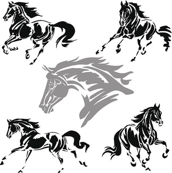 Кони скачут Графика