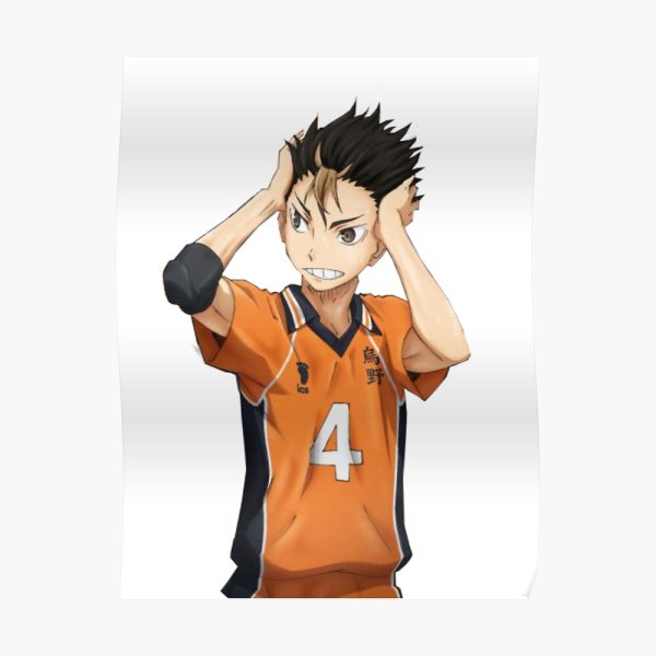 Нойя хайкью