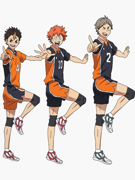 Рост Хинаты Шое