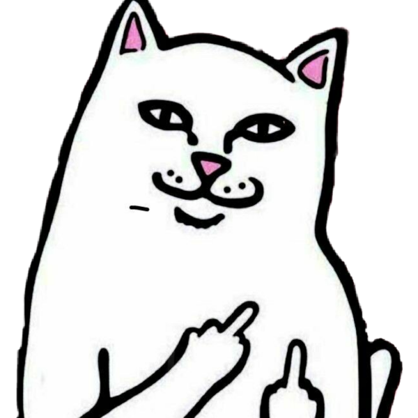 Котик с факами тату