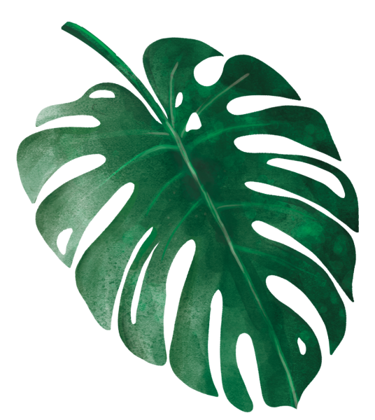 Листья тропических растений