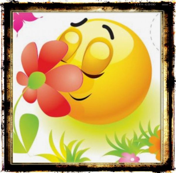 Смайлик природа