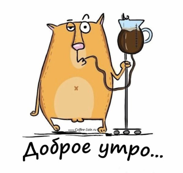 Доброе утро смешные картинки