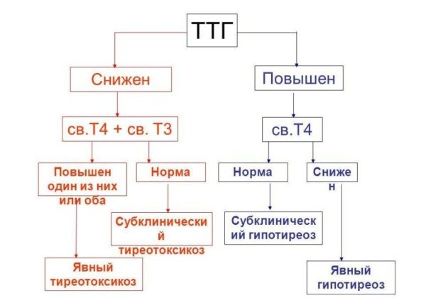 Низкий ТТГ высокий т4 т3