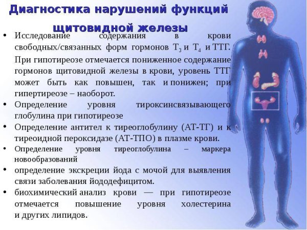 Исследование уровня тиреотропного гормона ТТГ В крови