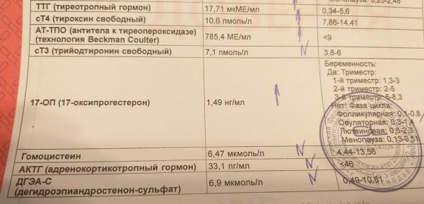 Тироксин Свободный т4 норма при беременности