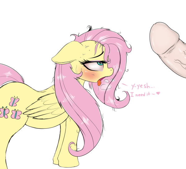 Fluttershy r34 Pony