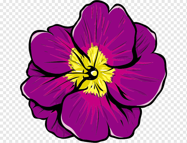 Цветы вектор