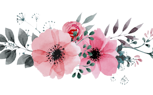 Растения на белом фоне