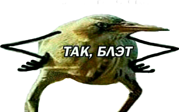 Птица так блэт