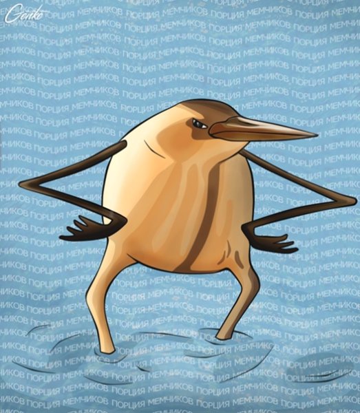 Птичка киви так блэт