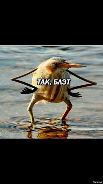 Птица с руками так блэт