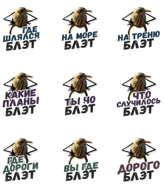 Так блэт птичка Мем