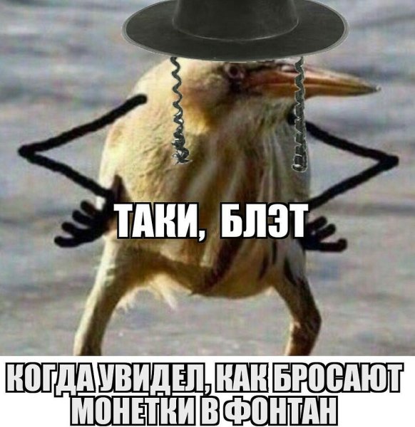 Птица счастья прикол