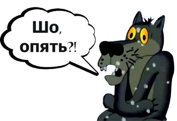 Шо опять волк