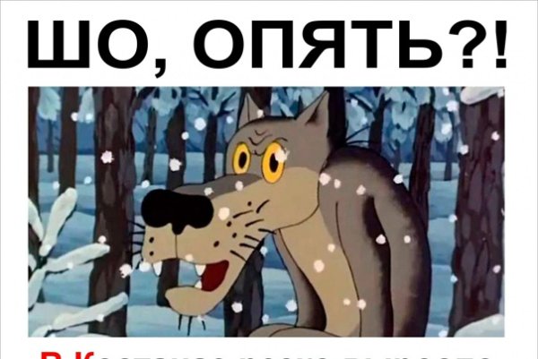 Волк из мультика жил был пёс