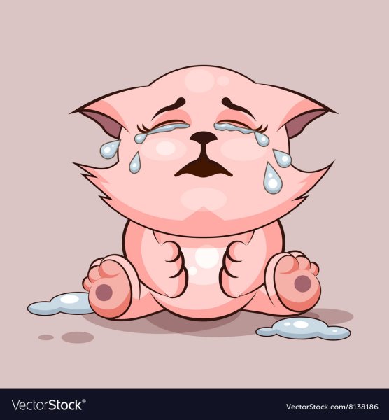 Плаксивый кот