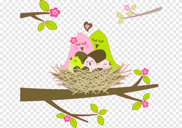 Птицы в гнезде вектор
