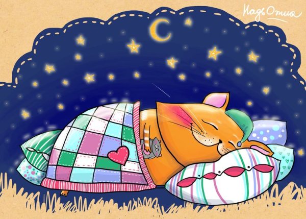 Спокойной ночи