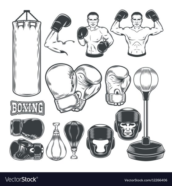 Вектро инвентарь для бокса