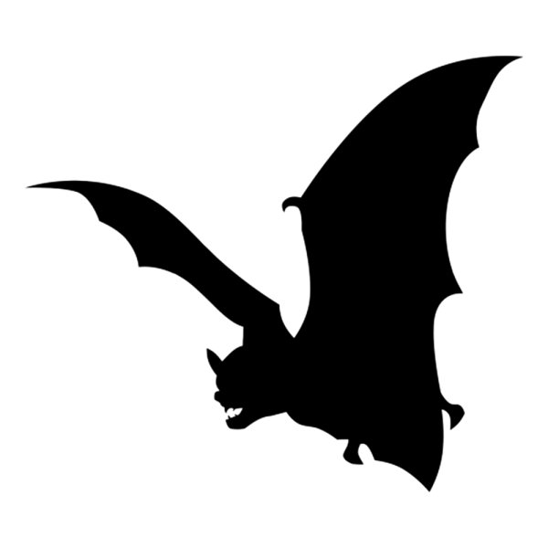 Летучая мышь арт чб