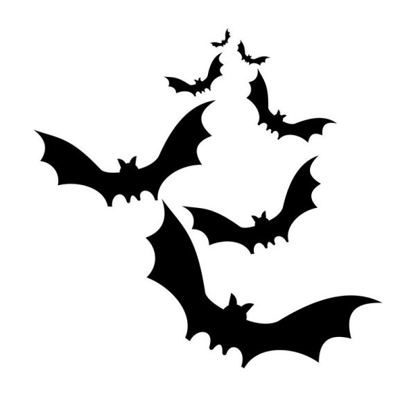 Стая летучих мышей силуэт