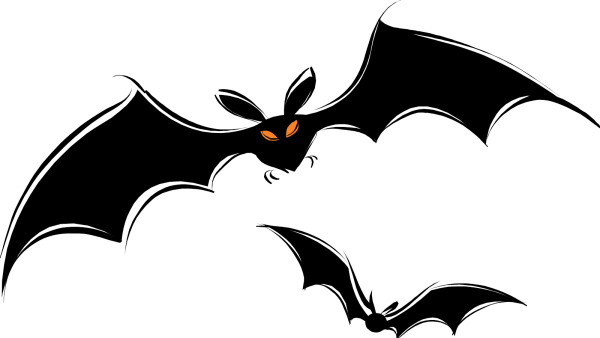 Летучая мышь