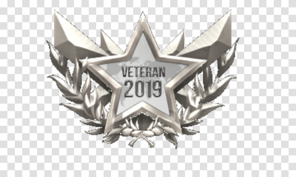 Серебряный ветеран