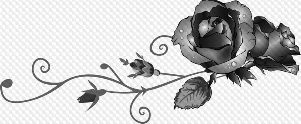 Разделитель текста простой