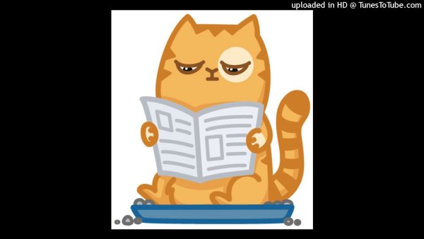 Стикеры ВК белка