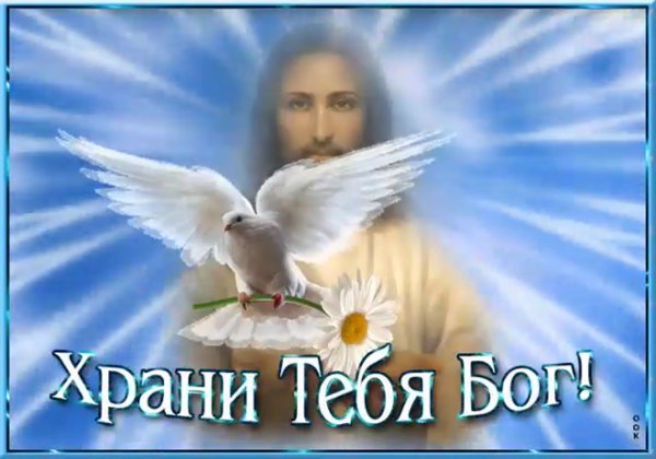 Пусть Бог хранит тебя