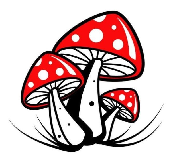 Мухоморы векторные