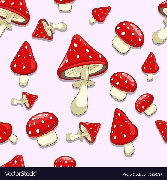 Мухомор фон