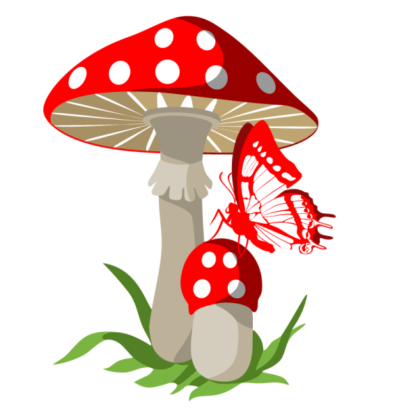 Гриб мухомор рисунок