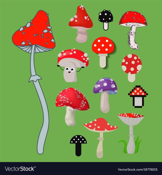 Мухомор инди КИД