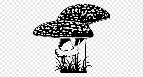 Стикеры грибочки