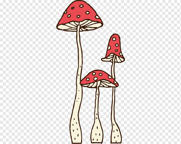 Гриб мухомор для детей