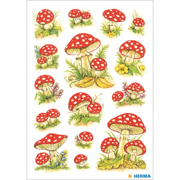 Паттерн мухоморы поганки