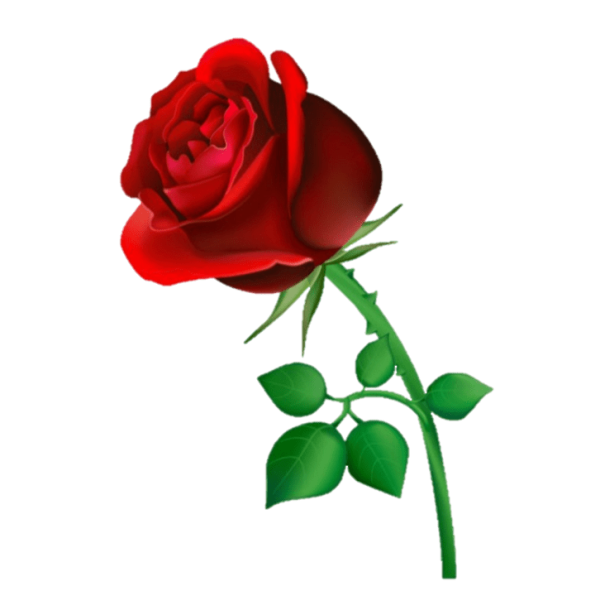 Стикеры розы