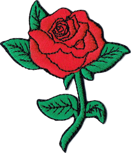 Розовые цветы на прозрачном фоне