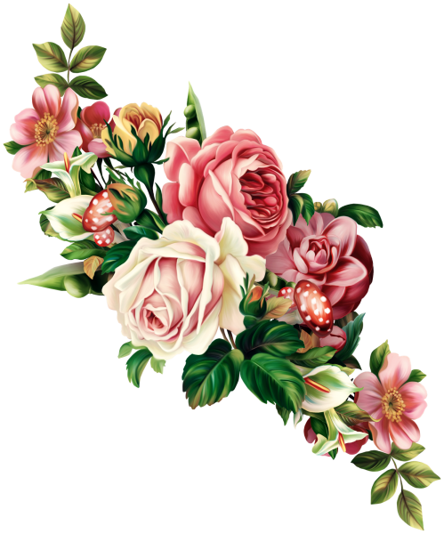 Очертания розы