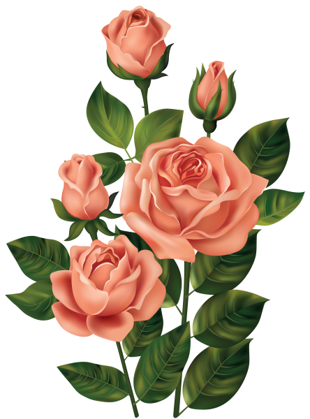 Графическая роза