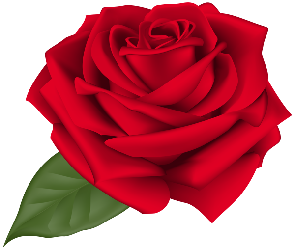 Цветы для фотошопа