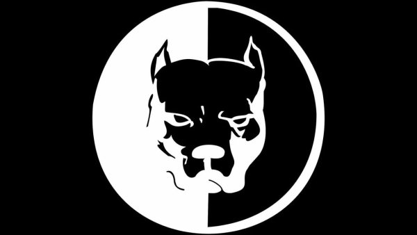 Логотип Эрика Давидовича питбуль