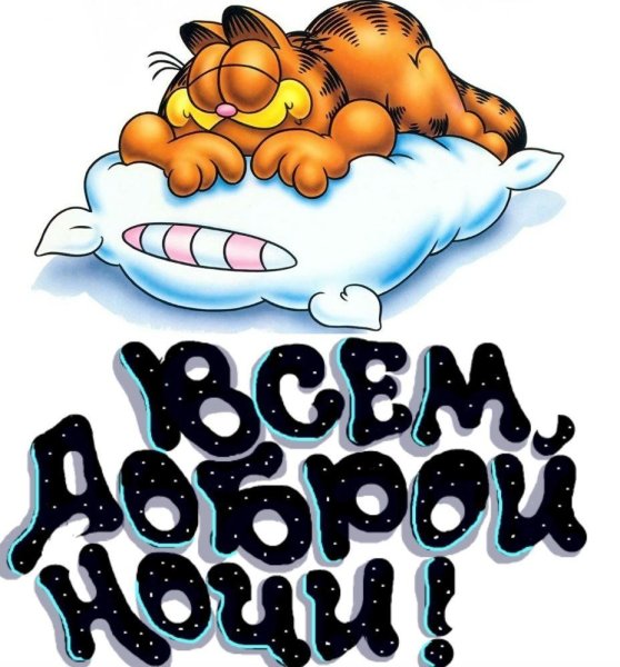 Стикер спокойной ночи котенок