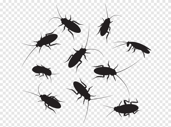 Силуэты тараканов