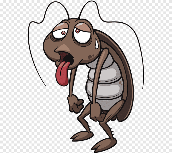 Смешной таракан