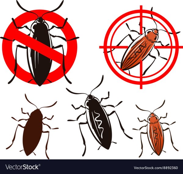 Таракан печать