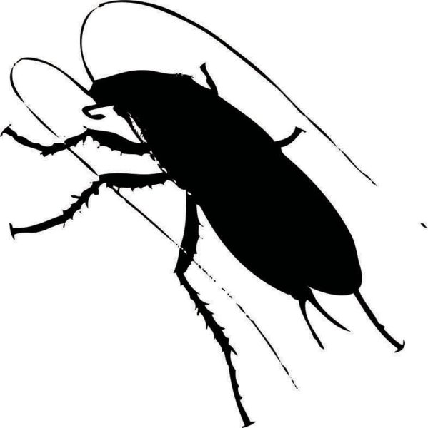 Таракан стикер