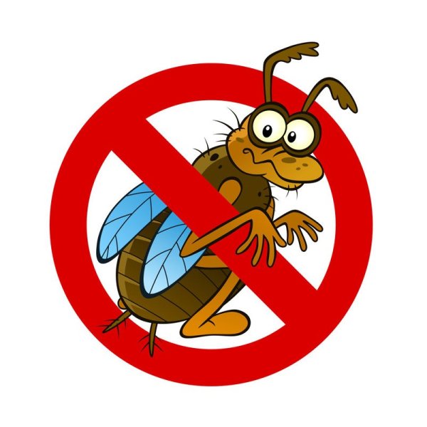 Не уничтожайте насекомых знак